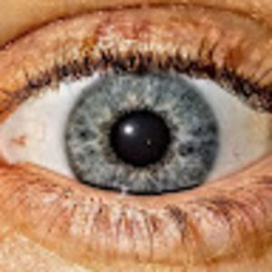 Meet your Posher, Evil